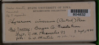 Image Associated With the Occurence